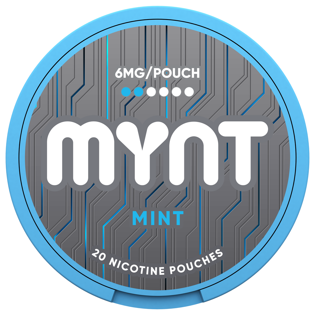 MYNT Mint Pouches, 6MG