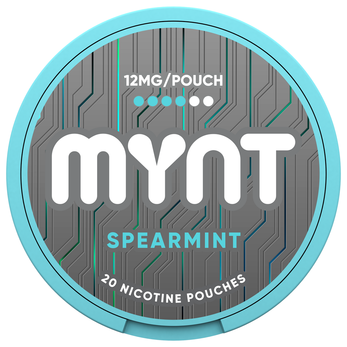 MYNT Spearmint Pouches, 12MG