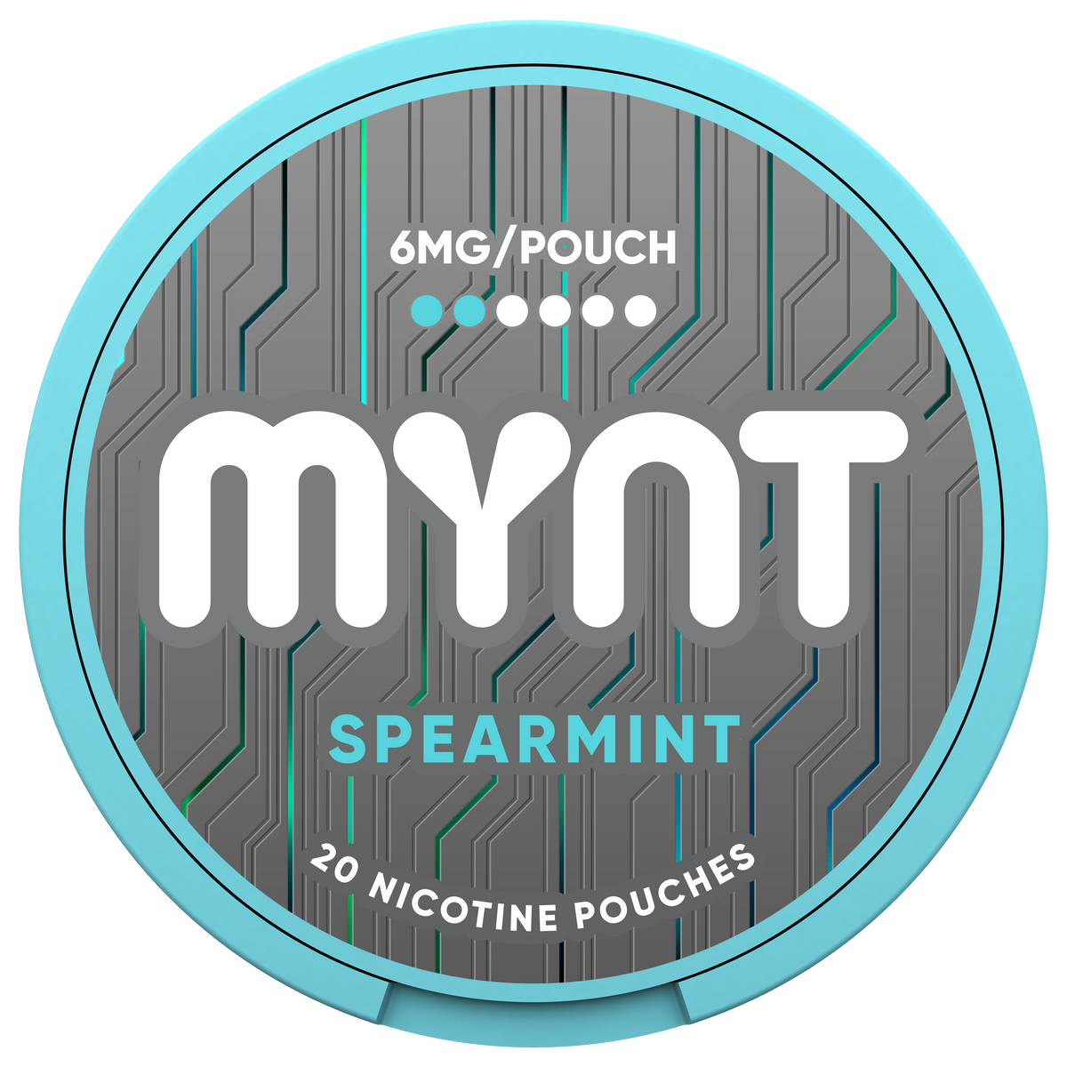 MYNT Spearmint Pouches, 6MG
