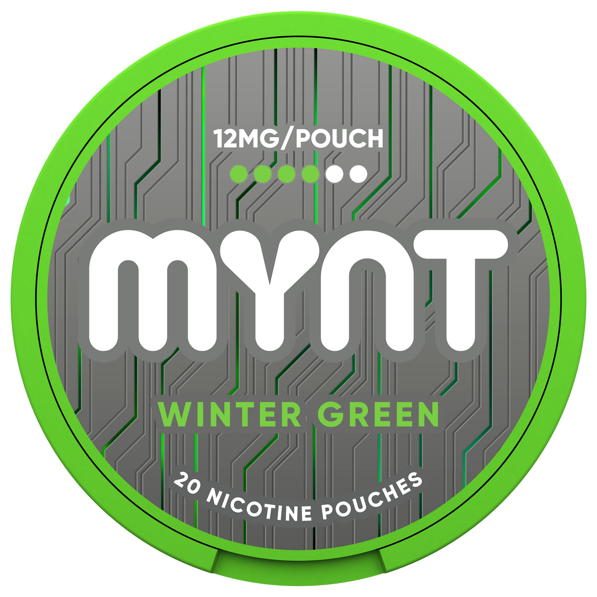 MYNT Wintergreen Pouches, 12MG