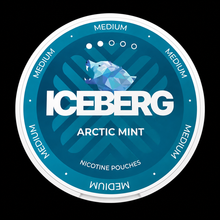 Iceberg Medium Arctic Mint Nicotine Pouches