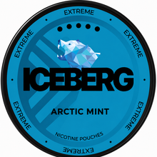 Iceberg Extreme Arctic Mint 40mg (50mg/g) Nicotine Pouches