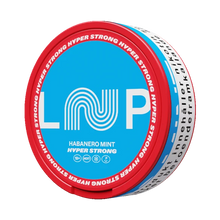 LOOP Habanero Mint 14.8MG Nicotine Pouches