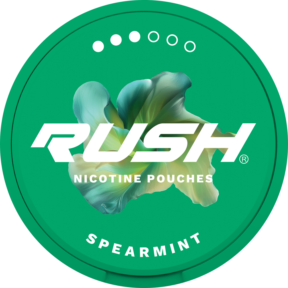 RUSH PRO Spearmint 11MG Nicotine Pouches