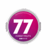 77 Forest Fruits Wholesale Nicotine Pouches