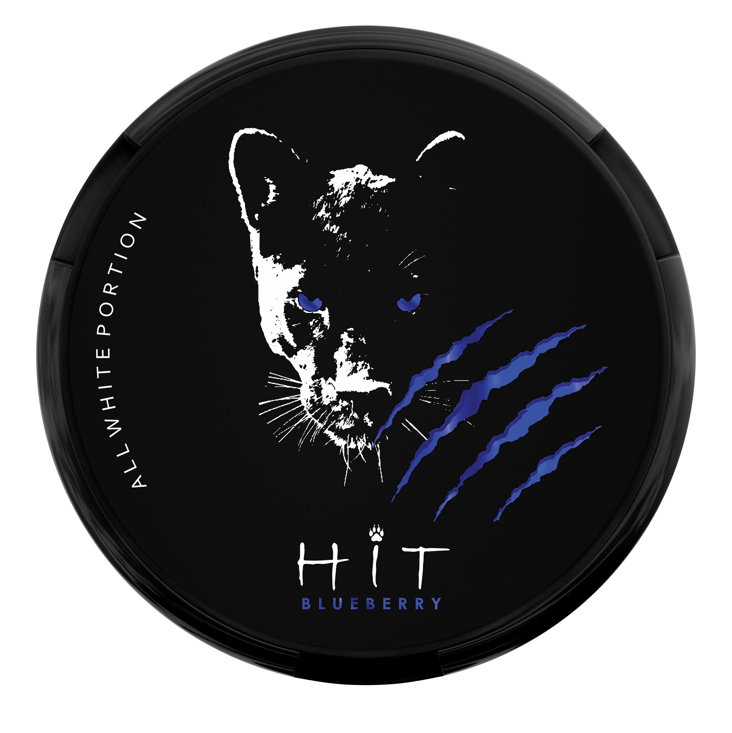 HIT Blueberry Wholesale Nicotine Pouches