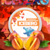 Iceberg Light Arasaka Wholesale Nicotine Pouches