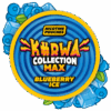 Kurwa Collection Max Blueberry Ice Wholesale Nicotine Pouches