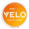 Velo Tropical Mango 10mg Wholesale Nicotine Pouches