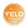 Velo Tropical Ice Mini Wholesale Nicotine Pouches
